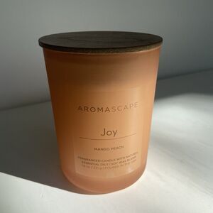 Yankee Chesapeake Bay Candle 7.8oz Aromascape JOY Mango Peach Orange Soy Wax